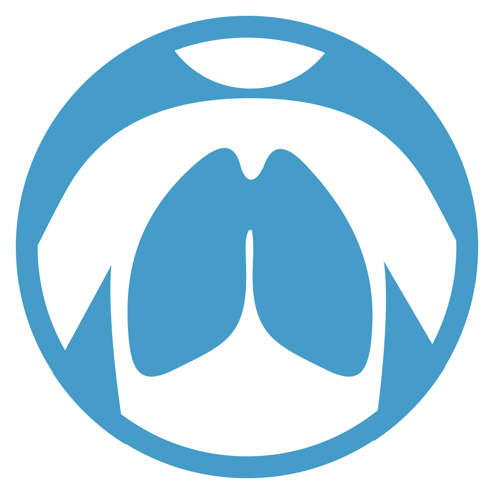 DTF - Broncho-pulmonary pic DTF - Broncho-pulmonary pic